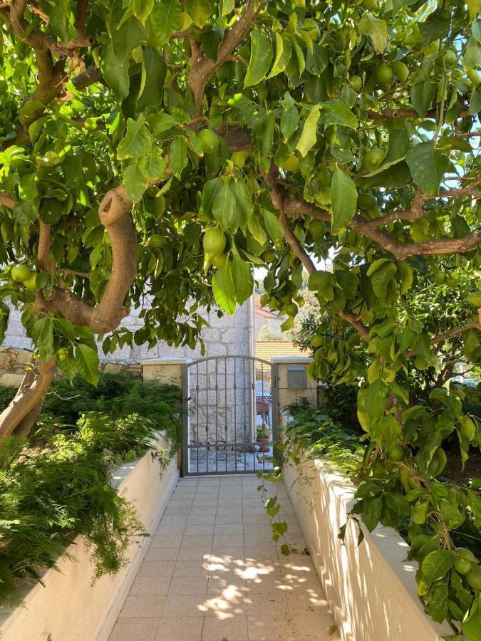 Barbaresko Apartamento